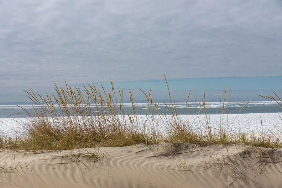 Lake Erie Ice Blanket with Sand Dunes and Dry Grass Photograph by Georgia Mizuleva