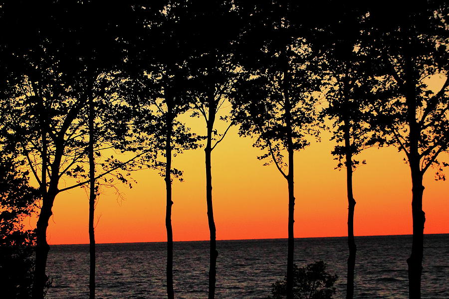 Lake Erie Silhouettes Photograph