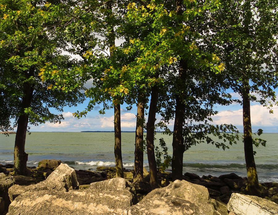 Lake Erie Through the Trees Photograph by Shawna Rowe