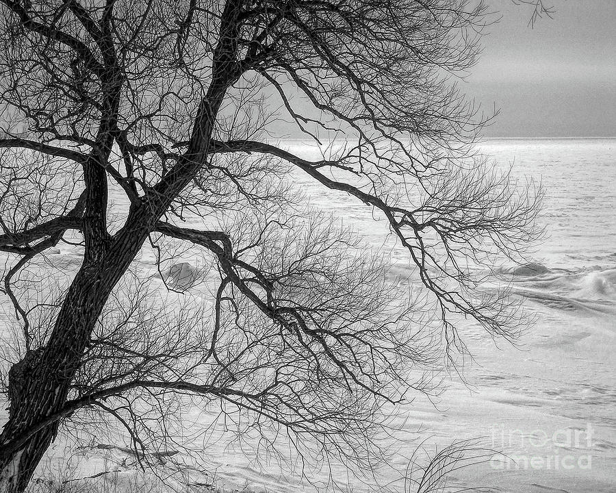 Lake Erie Winter Photograph by John Freidenberg
