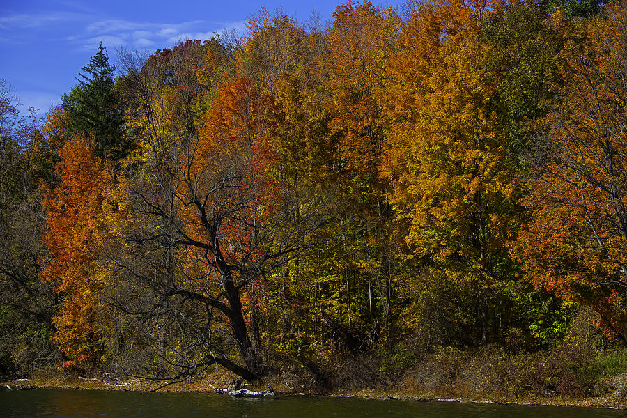 Lake Fall Colors Photograph by Garry Gay