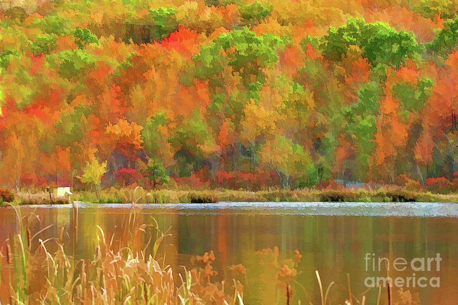 Lake Fall Colors Trees  Photograph by Chuck Kuhn