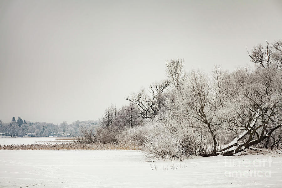 Lake Finja winter landscape Photograph by Sophie McAulay