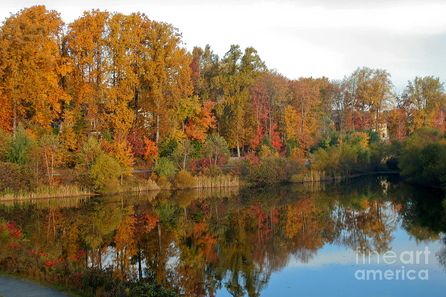 Lake Helene and Fall Foliage Photograph by Thomas Marchessault