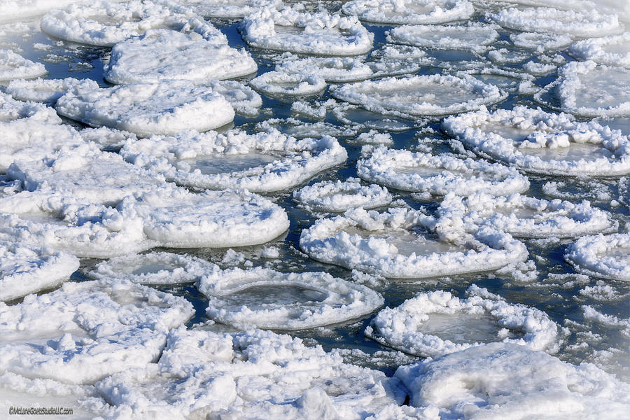 Lake Huron Ice Pads Photograph by LeeAnn McLaneGoetz McLaneGoetzStudioLLCcom