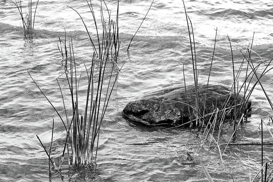 Lake Huron Shoreline 10 BW Photograph by Mary Bedy