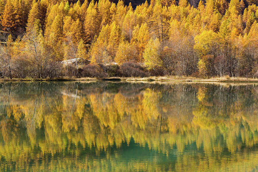 Lake in Autumn - 2 - French Alps Photograph by Paul MAURICE
