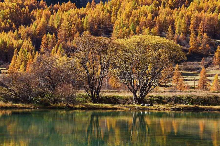 Lake in Autumn - 3 - French Alps Photograph by Paul MAURICE