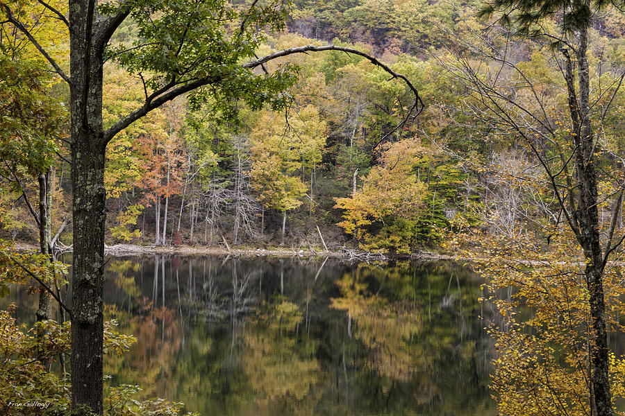Lake in Autumn Photograph by Fran Gallogly