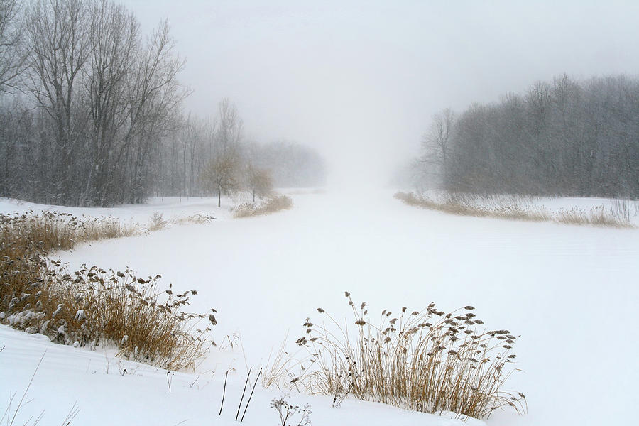 Winter Photograph - Lake in misty haze of winter blizzard by GoodMood Art