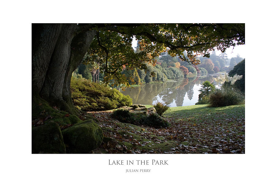 Lake in the Park Digital Art by Julian Perry