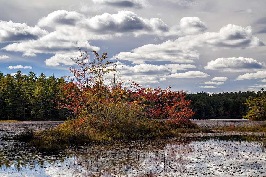 Lake Island Autumn Photograph by Irwin Barrett Lake Island Autumn Photograph by Irwin Barrett