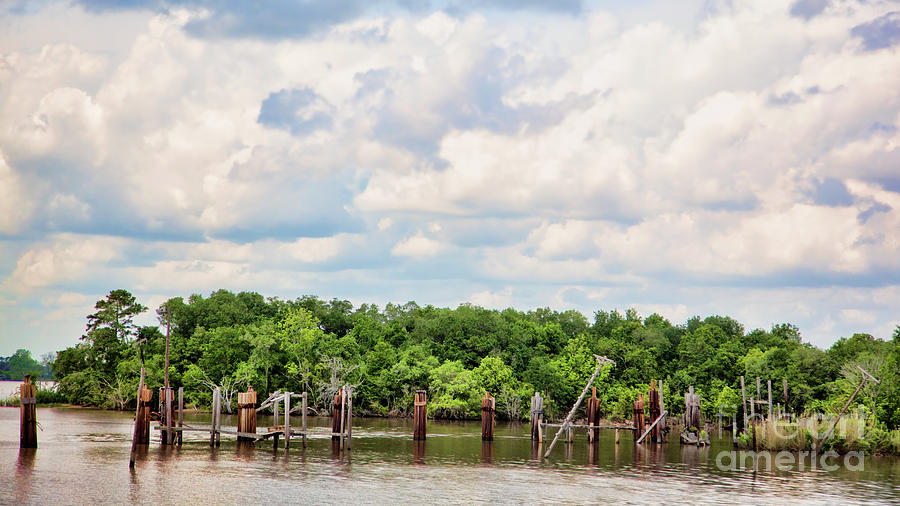 Lake Jefferson Island Louisiana Landscape  Photograph by Chuck Kuhn
