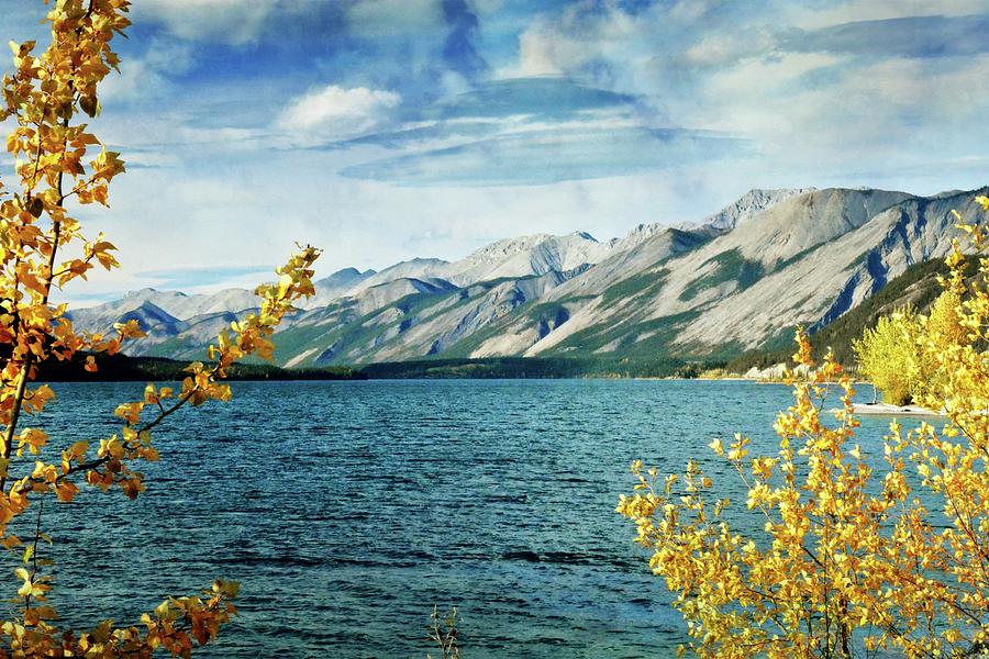 Lake Lake Photograph by Marty Koch