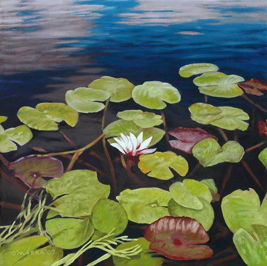 Lake Lily Painting by Allan OMarra Fine Art America