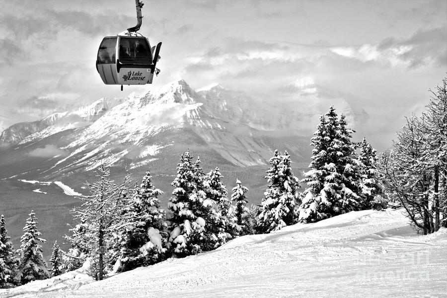 Lake Louise Gondola Over The Snow Ghosts Black And White Photograph by Adam Jewell