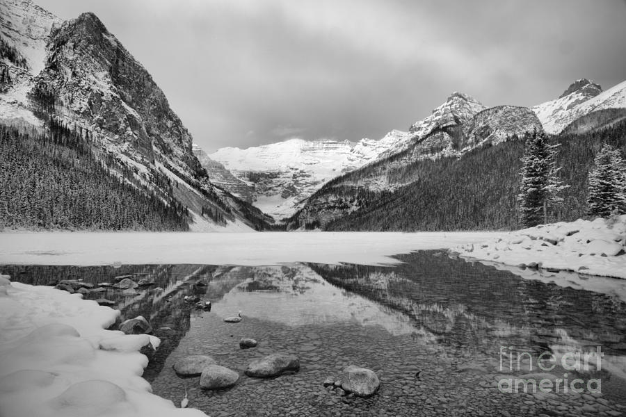 Lake Louise Icy Reflections Black And White Photograph by Adam Jewell