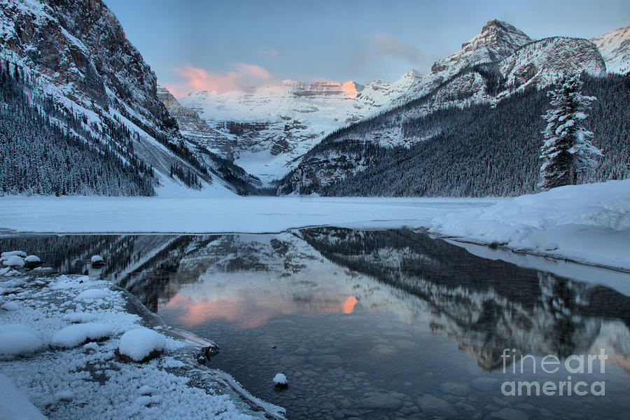 Lake Louise Pink Morning Photograph by Adam Jewell