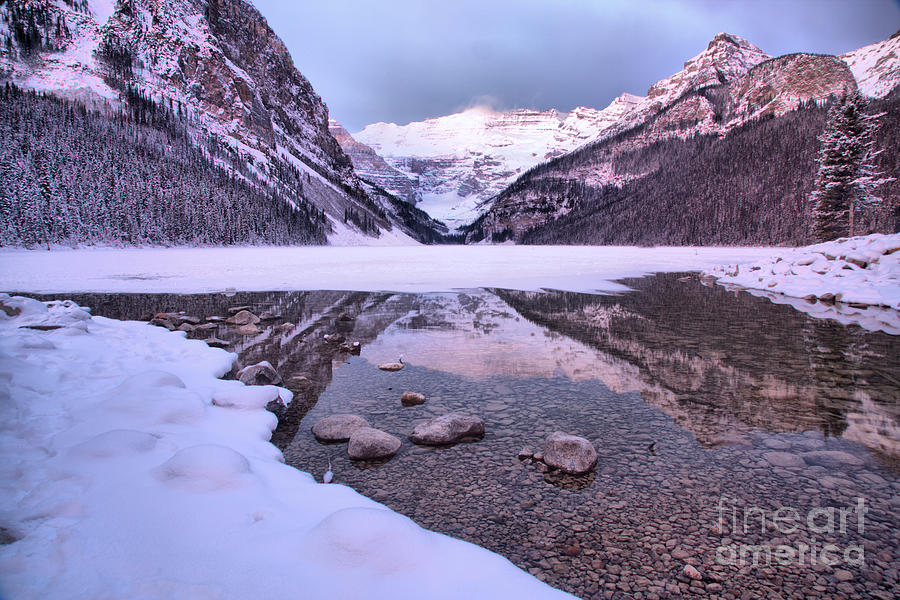 Lake Louise Snowy Reflections Photograph by Adam Jewell