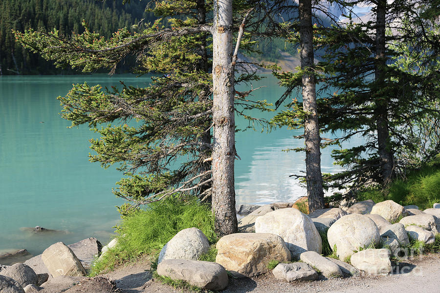 Lake Louise with Rocks and Trees Photograph by Carol Groenen