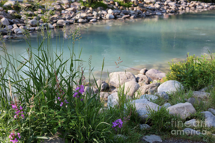 Lake Louise with Wildflowers and Weeds Photograph by Carol Groenen
