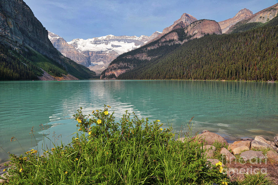 Lake Louise with Wildflowers Photograph by Carol Groenen