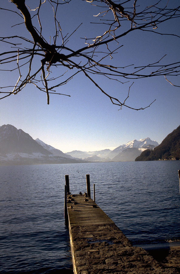 Lake Lucerne Photograph by Flavia Westerwelle