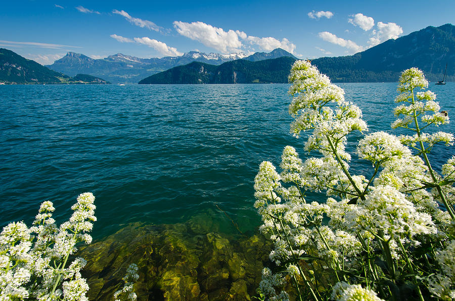 Mountain Photograph - Lake Lucerne by Ingo Scholtes