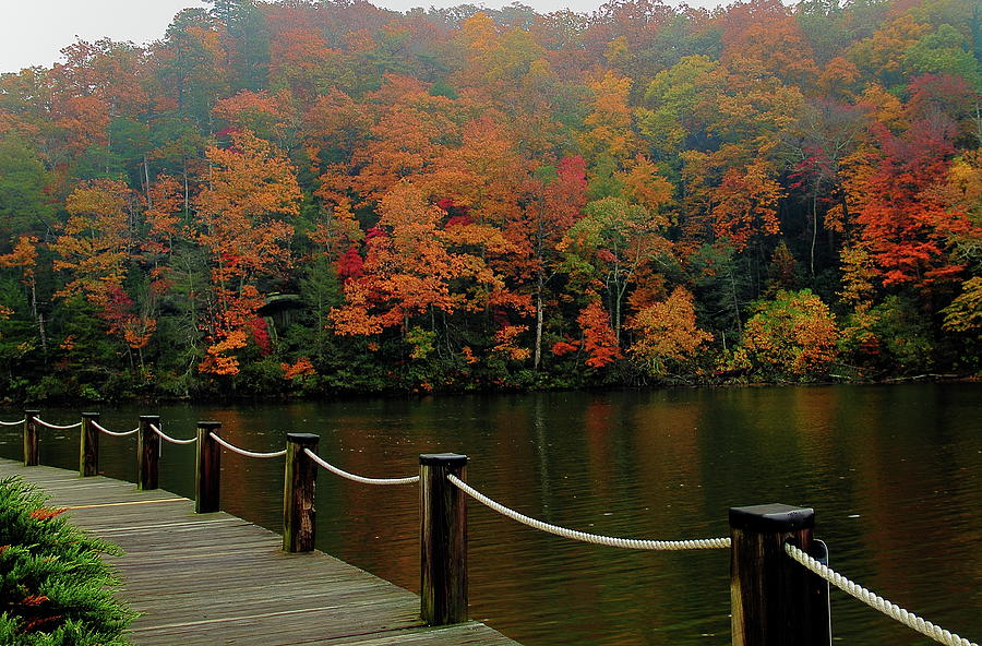 Lake Lure Fall Colors Photograph by Allen Nice-Webb