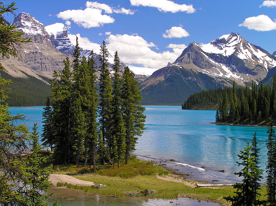 Lake Maligne Photograph By Phil Stone