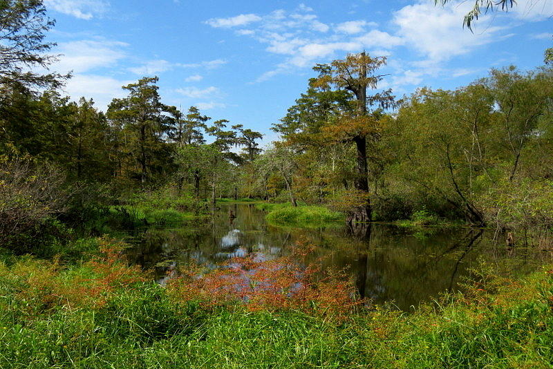 Lake Martin Fall Scene Photograph by Betty Berard - Fine Art America