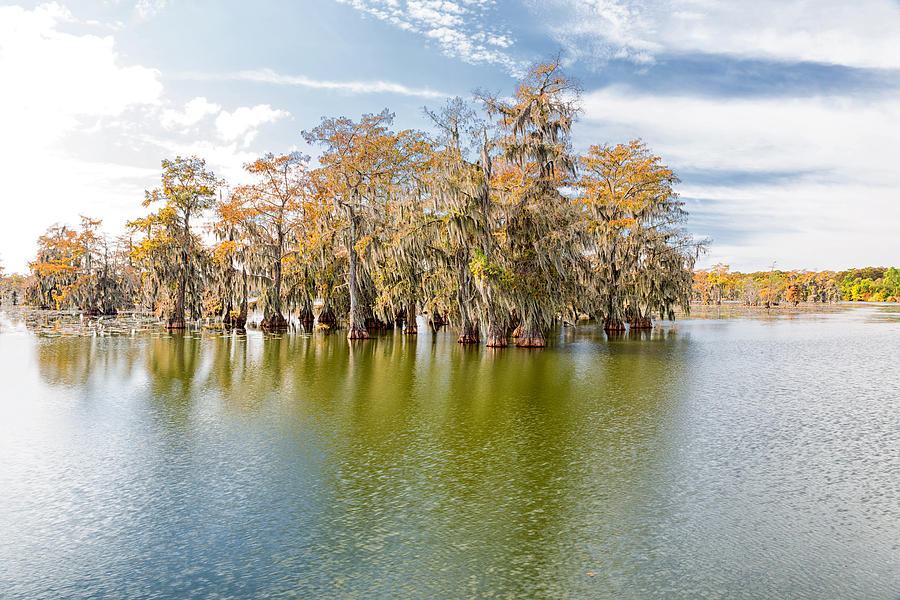 Lake Martin Louisiana 2 Photograph by Victor Culpepper