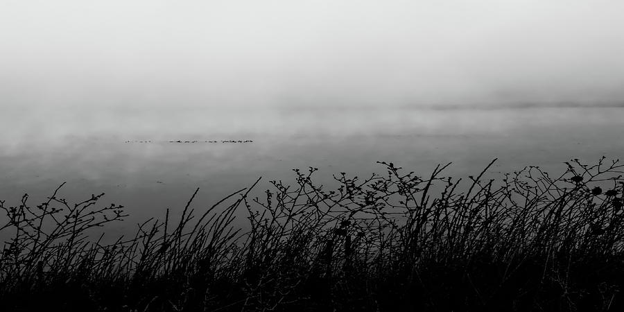 Lake Mary Fog Photograph by Tim Richards