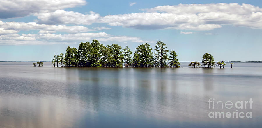 Lake Mattamuskeet Photograph by Art Cole