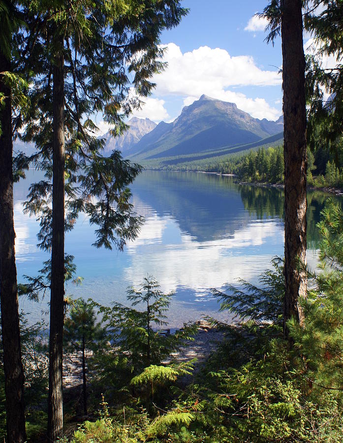 Lake McDlonald Through the Trees Glacier National Park Photograph by Marty Koch