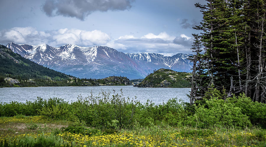 Lake McDonald Montana Photograph by Alex Grichenko