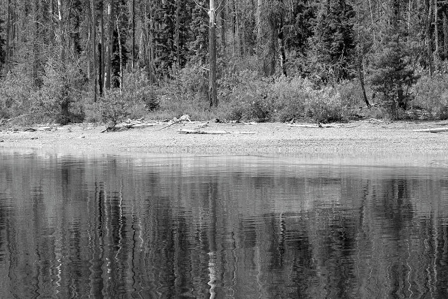 Lake McDonald Shoreline Reflection Blacka and White Photograph by Bruce Gourley