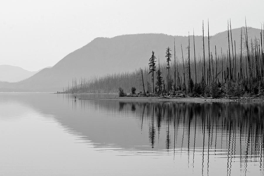Lake McDonald Twin Reflections Black and White Photograph by Bruce Gourley