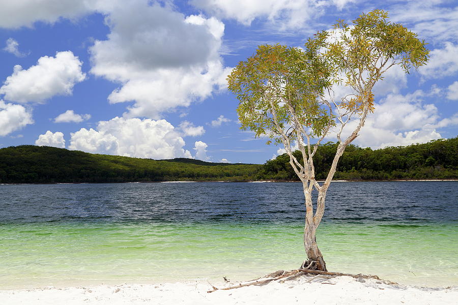Lake McKenzie bliss. Photograph by Andrew McInnes