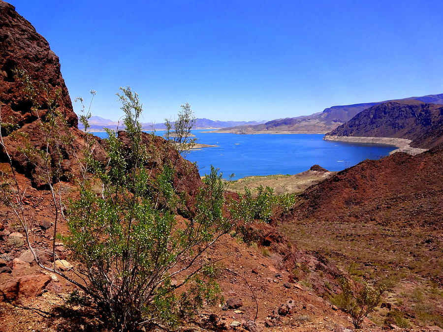 Lake Mead Photograph by Donna Spadola