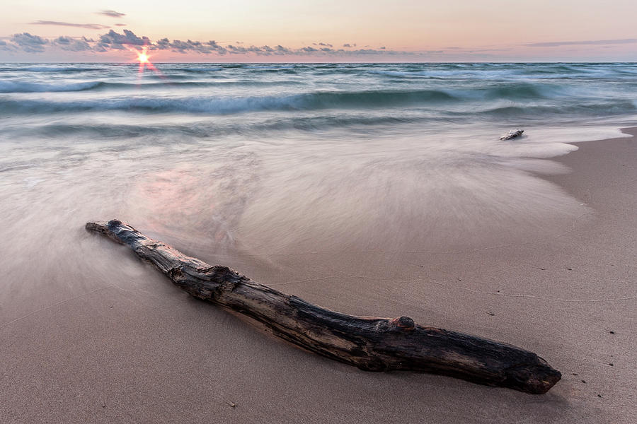 Lake Michigan Driftwood Photograph by Adam Romanowicz