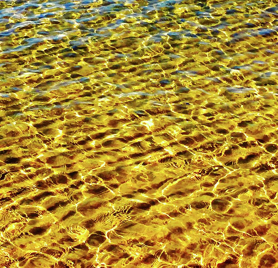 Beach Photograph - Lake Michigan Gold by Rob Michalowski