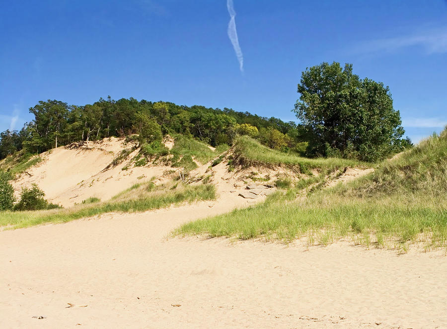 Lake Michigan Sand Dunes Photograph by Sally Weigand