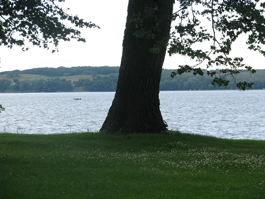Lake Miltona 5 Photograph by Hasani Blue Fine Art America