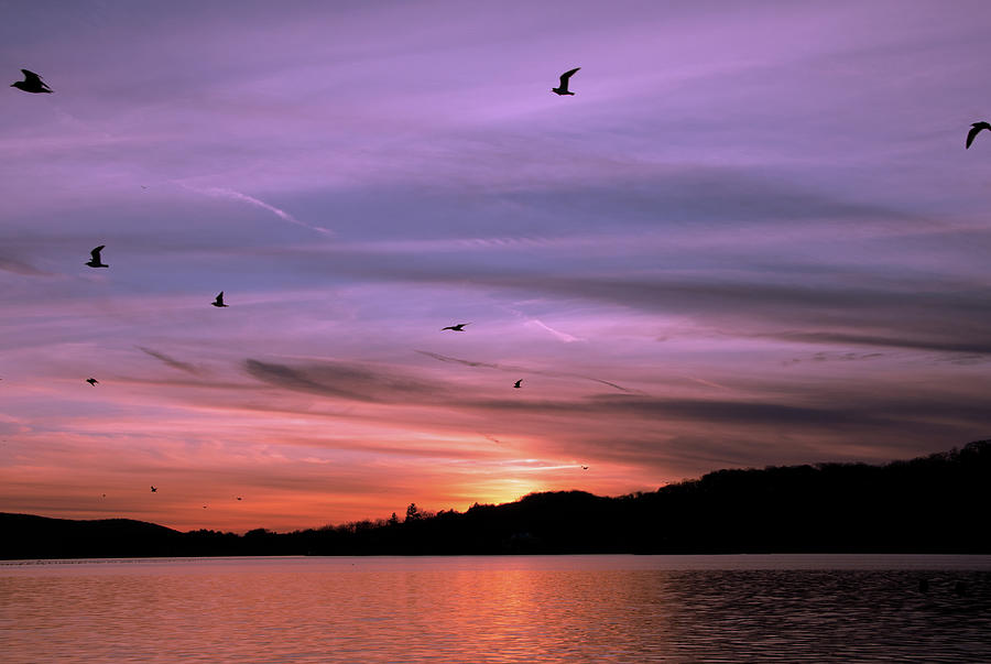 Lake Mohawk Sunset Photograph by Eleanor Bortnick
