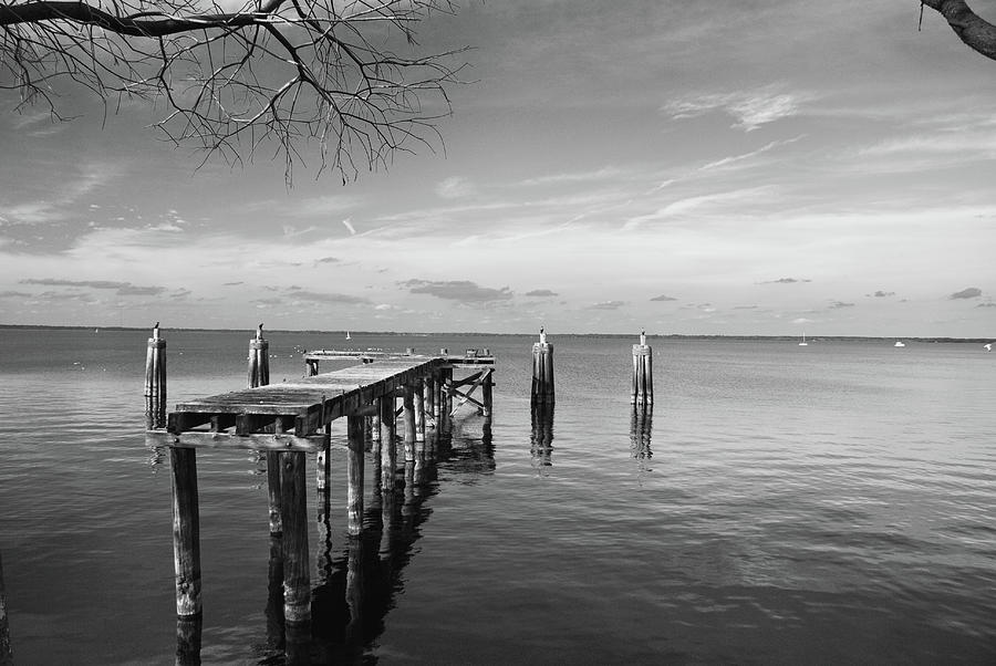 Lake Monroe II Photograph by Pamela Williams