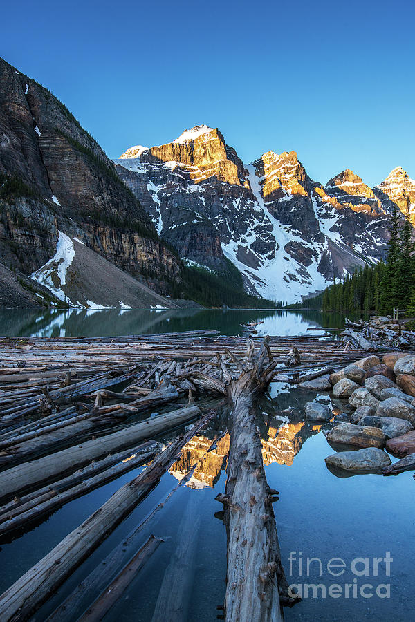 Lake Moraine Peaks Reflection Logscape Photograph by Mike Reid