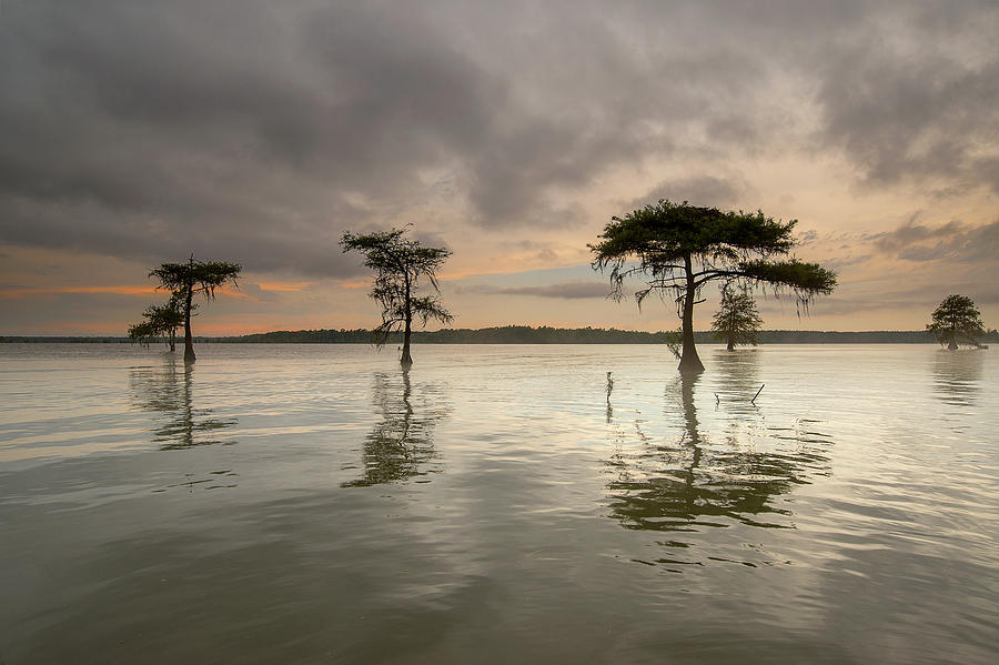 lake-moultrie-photograph-by-derek-thornton