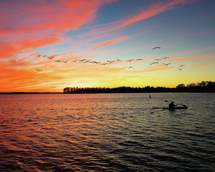 Lake Murray Fisherman Photograph by Mike Covington