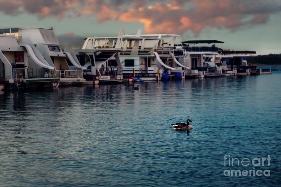 Lake Murray Morning at the Marina Photograph by Tamyra Ayles